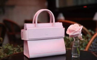 網(wǎng)紅效應(yīng) 奢侈品營銷的雙刃劍